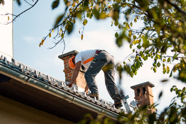 Quick and Trustworthy Emergency Roof Repair Services in Lafayette, OR
